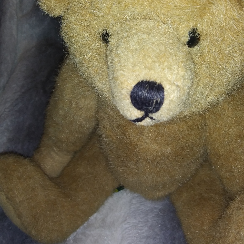 Vintage 1993 Mary Meyer Green Mountain Bear